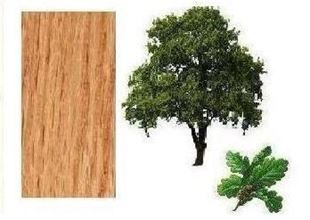 Picture for category Oak