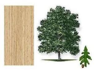 Picture for category White Oak