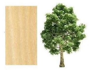 Picture for category Poplar