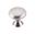 Picture of Mushroom